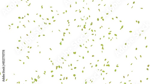 Exploding green leaf on white, blue, black background. 