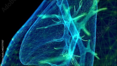 Human lungs. Blue light dot and lines formation human lungs model. Motion animated neurons in 3d virtual space