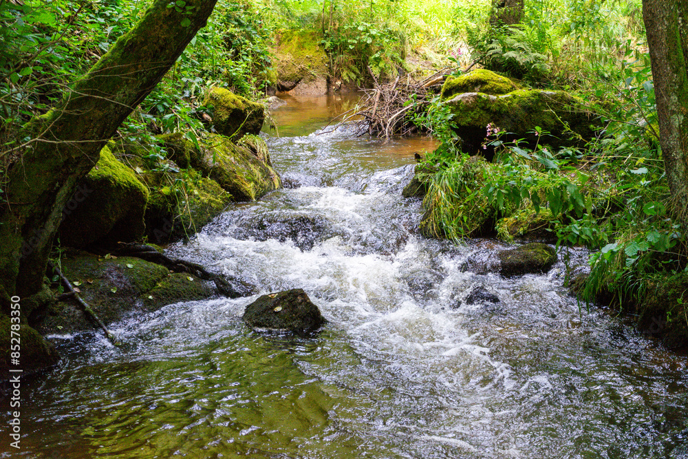 Fototapeta premium Hiking Big Ohe Stream near Castle Ransberg in the bavarian Forests.