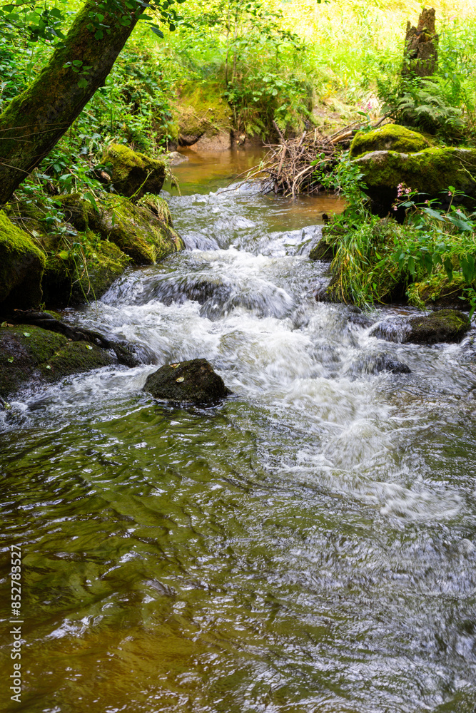 Hiking Big Ohe Stream near Castle Ransberg in the bavarian Forests. Hiking Big Ohe Stream near Castle Ransberg in the bavarian Forests.