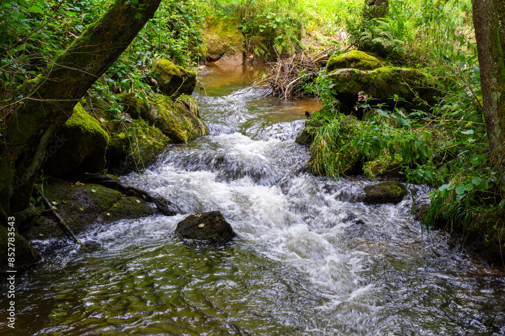 Fototapeta premium Hiking Big Ohe Stream near Castle Ransberg in the bavarian Forests.