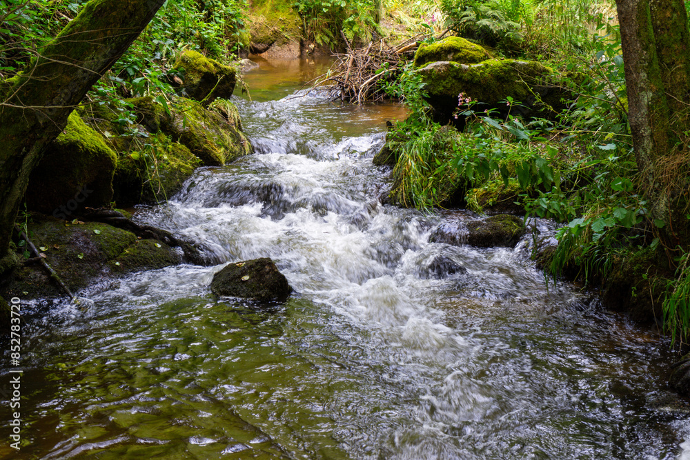 Fototapeta premium Hiking Big Ohe Stream near Castle Ransberg in the bavarian Forests.