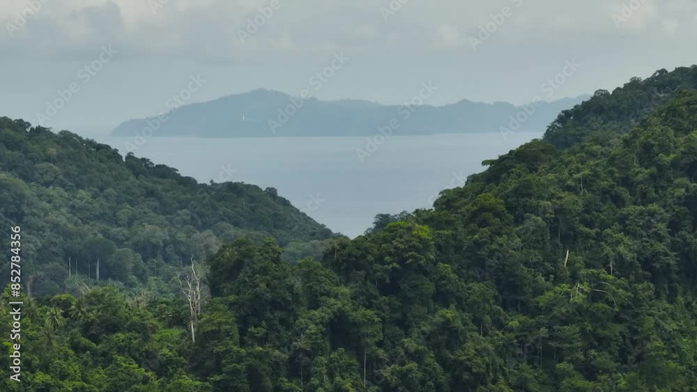 Rainforest in mountains and sea. Sumatra. Indonesia. Rainforest in mountains and sea. Sumatra. Indonesia.