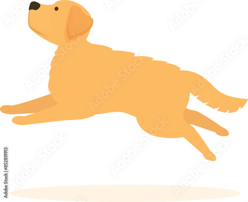 Golden retriever is running and jumping with excitement