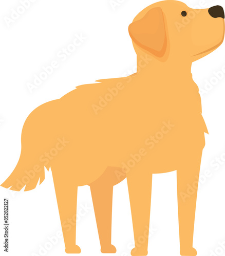 Cartoon golden retriever standing and looking up with curiosity