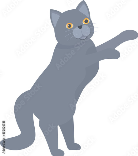 Gray cat standing on its hind legs, playing with something unseen