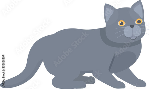 Cartoon grey british shorthair cat sitting and resting