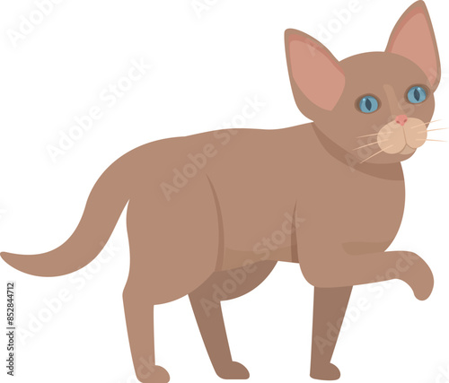 Charming brown kitten with captivating blue eyes is taking a leisurely stroll