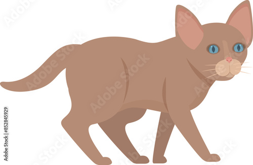 Brown cat with blue eyes is taking a leisurely stroll