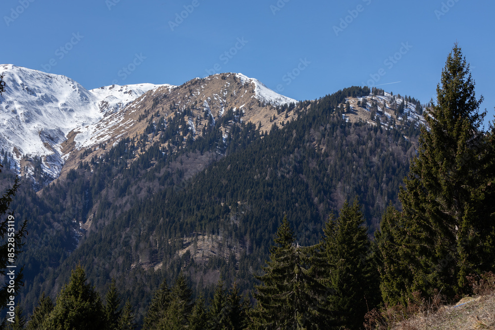 Obraz premium vista dettagliata di una catena montuosa, vista da breve distanza, con pendii ripidi, ricchi di foreste e di prati sulle cime, coperti parzialmente dalla neve, sotto un cielo azzurro e sereno