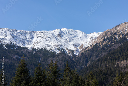 dettagli di una catena montuosa quasi totalmente innevata in cima e coperta da grandi foreste più in basso, sotto un cielo azzurro, di giorno, in primavera, nel nord est Italia © PhotoMet