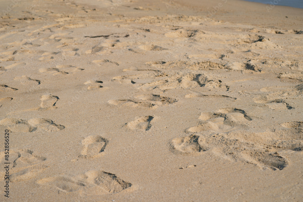 砂浜に残る足跡
