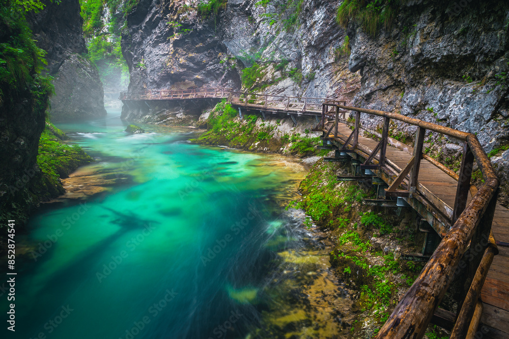 Obraz premium Famous hiking location with Radovna river in the Vintgar gorge