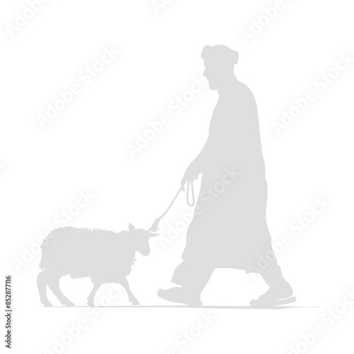 White Silhouette: Man in Thobe Leading Sheep on Leash, Traditional Eid al-Adha.