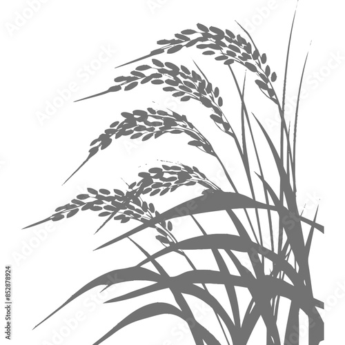 Rice Stalk Silhouette: Grain Harvest Icon, Asian Crop Symbol.