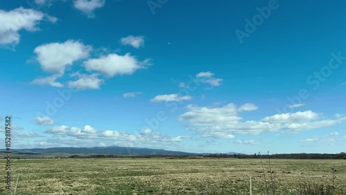 Wallpaper Mural Train ride passenger side window with beautiful panoramic landscape of nature, green trees, bushes in springtime. Fast moving between trees. High quality 4k footage.  Torontodigital.ca