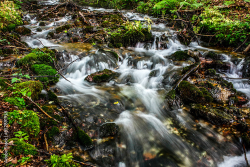 Mountain stream in the forest.