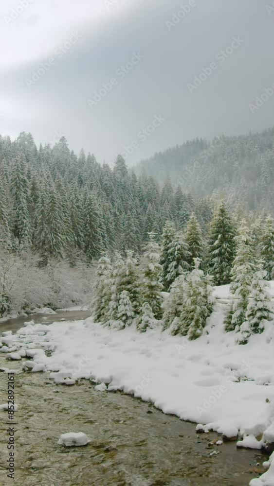 Fantastic view of beautiful snow forrest during winter Fantastic view of beautiful snow forrest during winter