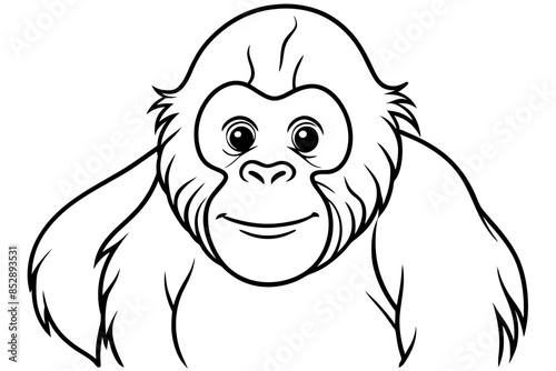 bornean silhouette vector illustration 