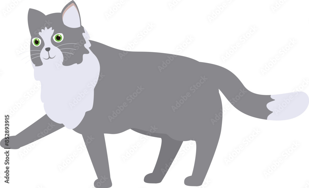 Illustration of a grey and white cat walking with its paw raised