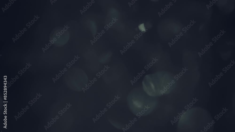 Black background with white bokeh movement Black background with white bokeh movement