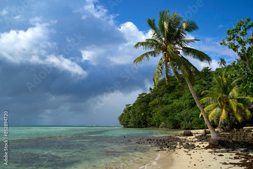 A day trip to Namura (Turtle Island) while on holiday in eastern Samoa photo