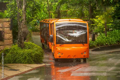  Red tourist bus in Safari