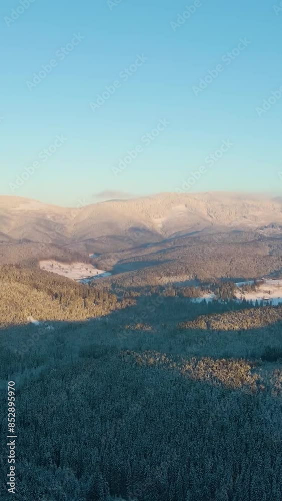 Fantastic view of snow forrest during winter Fantastic view of snow forrest during winter