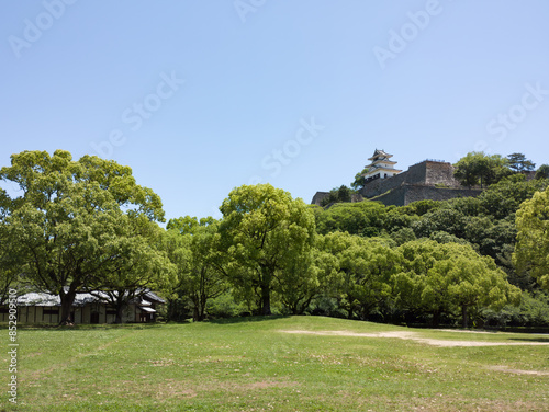 丸亀城 御殿跡からの天守