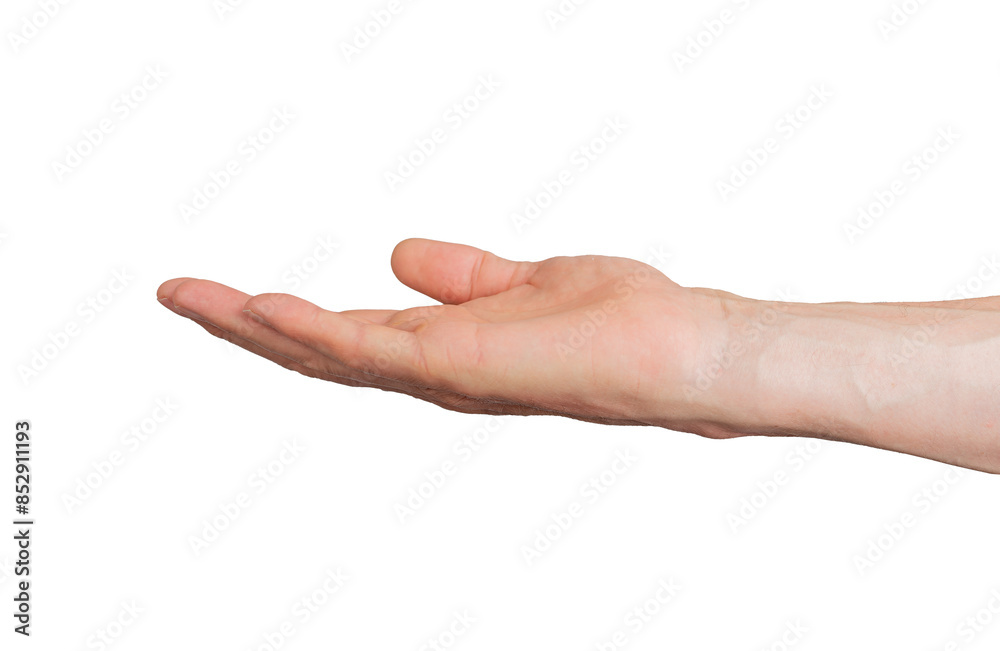 empty palm, hand gesture, sign isolated on white background, transparent PNG, cutout empty palm, hand gesture, sign isolated on white background, transparent PNG, cutout