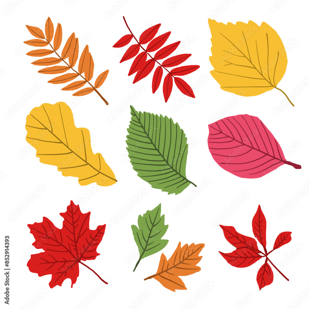 Colourful leaves set autumn, winter and summer on white background isolated, vector Colourful leaves set autumn, winter and summer on white background isolated, vector