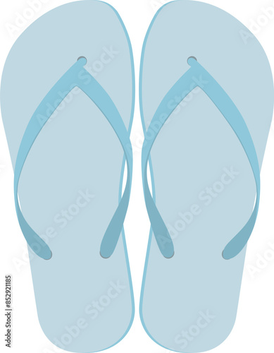 blue flip flops