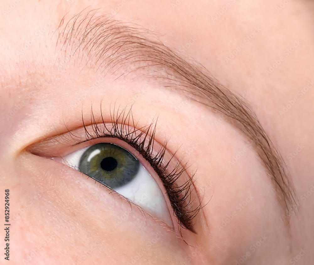 Fototapeta premium Close-up of an eye with permanent eyeliner and shading effect. Concept of facial correction with cosmetic tattoo and design for magazines, articles, websites.