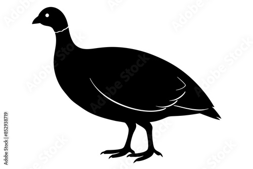 Guinea Fowl animal vector, silhouette black color, vector illustration