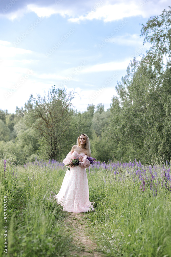 Beautiful girl with blond hair and a long pink dress in the summer in a field of blooming purple lupine flowers with a bouquet in her hands Beautiful girl with blond hair and a long pink dress in the summer in a field of blooming purple lupine flowers with a bouquet in her hands