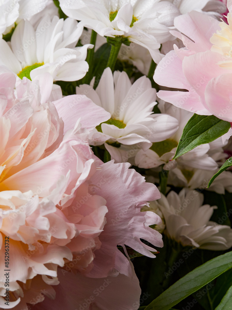 Bouquet of pink peony flowers close up. Womens day or wedding concept. Bouquet of pink peony flowers close up. Womens day or wedding concept.