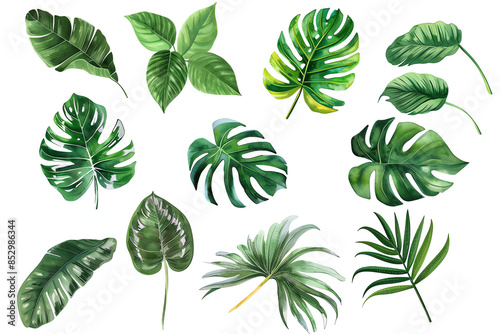 Watercolor tropical leaves. Botanical jungle illustration. Beautiful tropical exotic foliage.