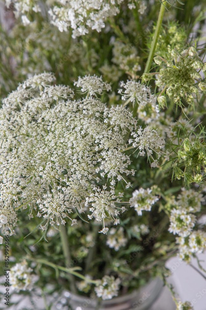 Bouquet of white flowers on a white background. Wild carrot and yarrow. Simple summer flower. Nature flora aesthetic. Petal bud. Floral botanical. Minimal style. Bouquet of white flowers on a white background. Wild carrot and yarrow. Simple summer flower. Nature flora aesthetic. Petal bud. Floral botanical. Minimal style.