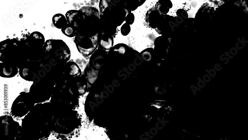 Ink Transition 4k