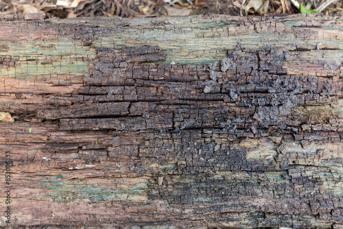Background of surface of old cracked dilapidated rotten wooden plank