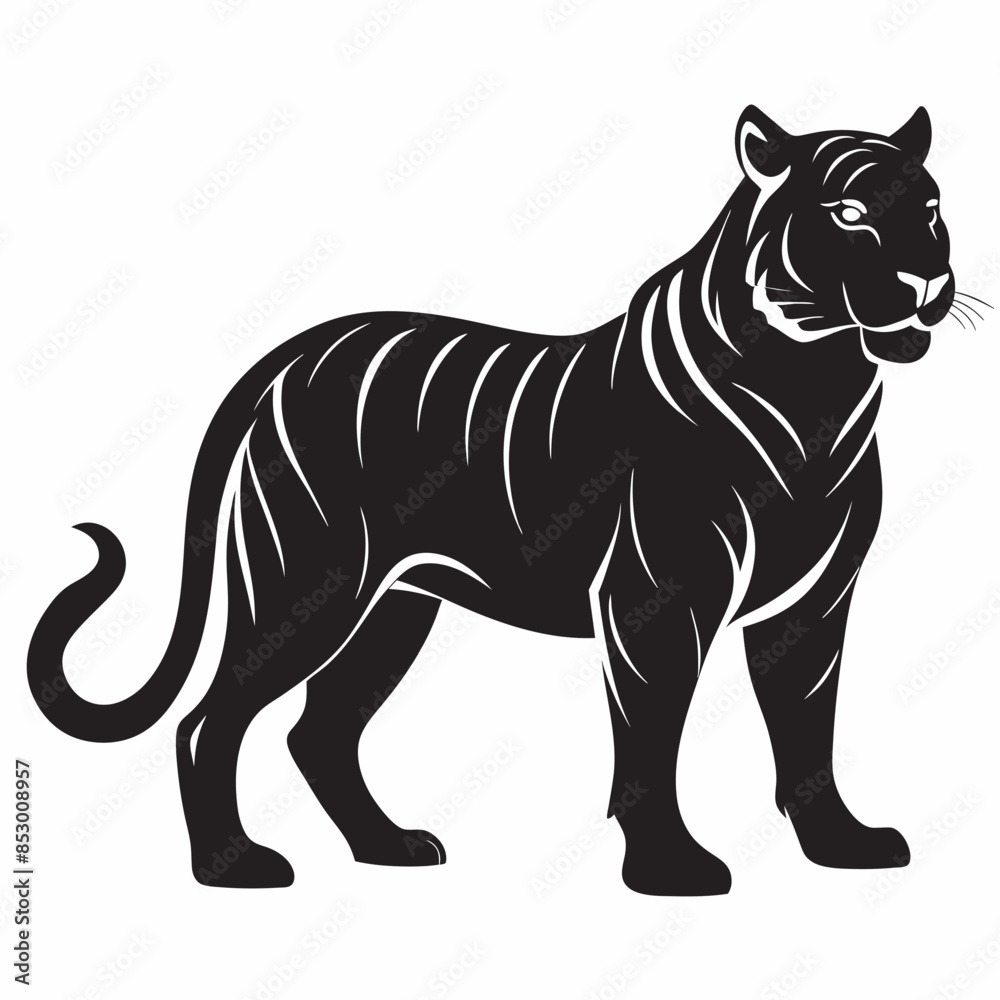 white tiger isolated on black
