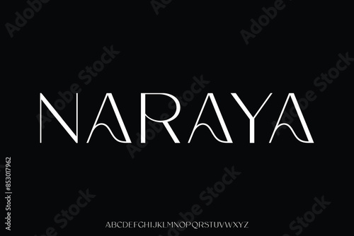 Elegant minimalist decorative alphabet display font vector. Beautiful sans serif typeface
