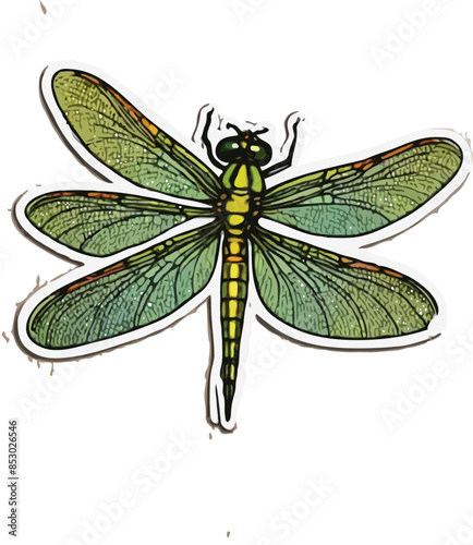 dragonfly isolated on white