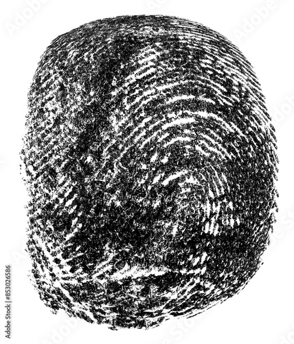 Black ink fingerprint isolated on a white background, top view. Fingerprint on white paper, macro.