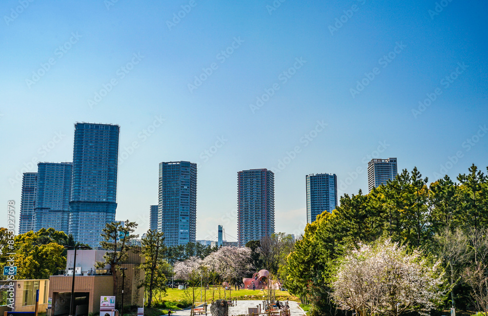Fototapeta premium 春の都会の公園