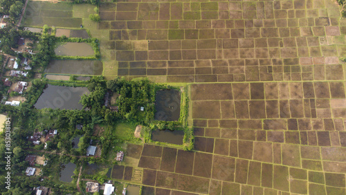 Rice field aerial shot at north east of India. 4k aerial views of beautiful mountain small house and rice terraces field at Jalai village in tripura india.