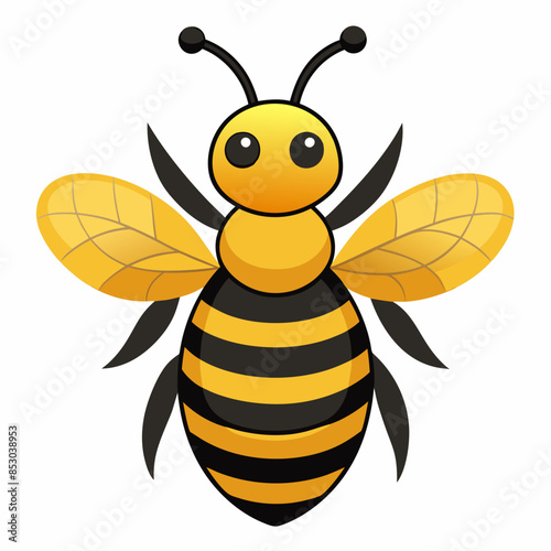 illustration of a honey bee