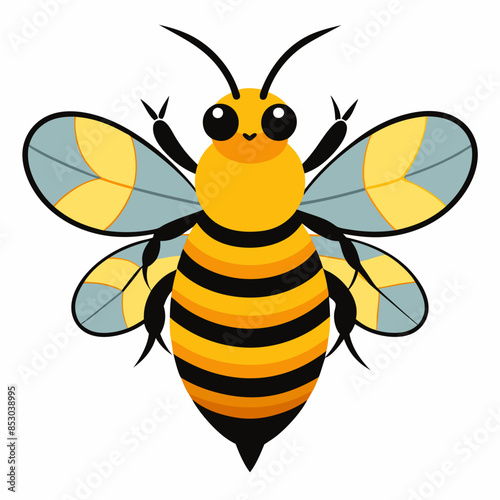 illustration of a honey bee