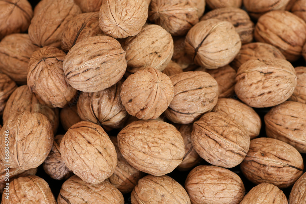 walnut, food, nuts, walnuts, nature, organic, delicious, natural, healthy walnut, food, nuts, walnuts, nature, organic, delicious, natural, healthy