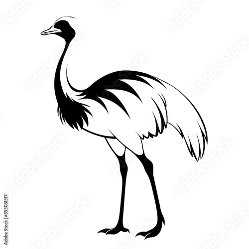 emu, captured in profile with detailed plumage, embodying the grace of this unique, flightless bird.